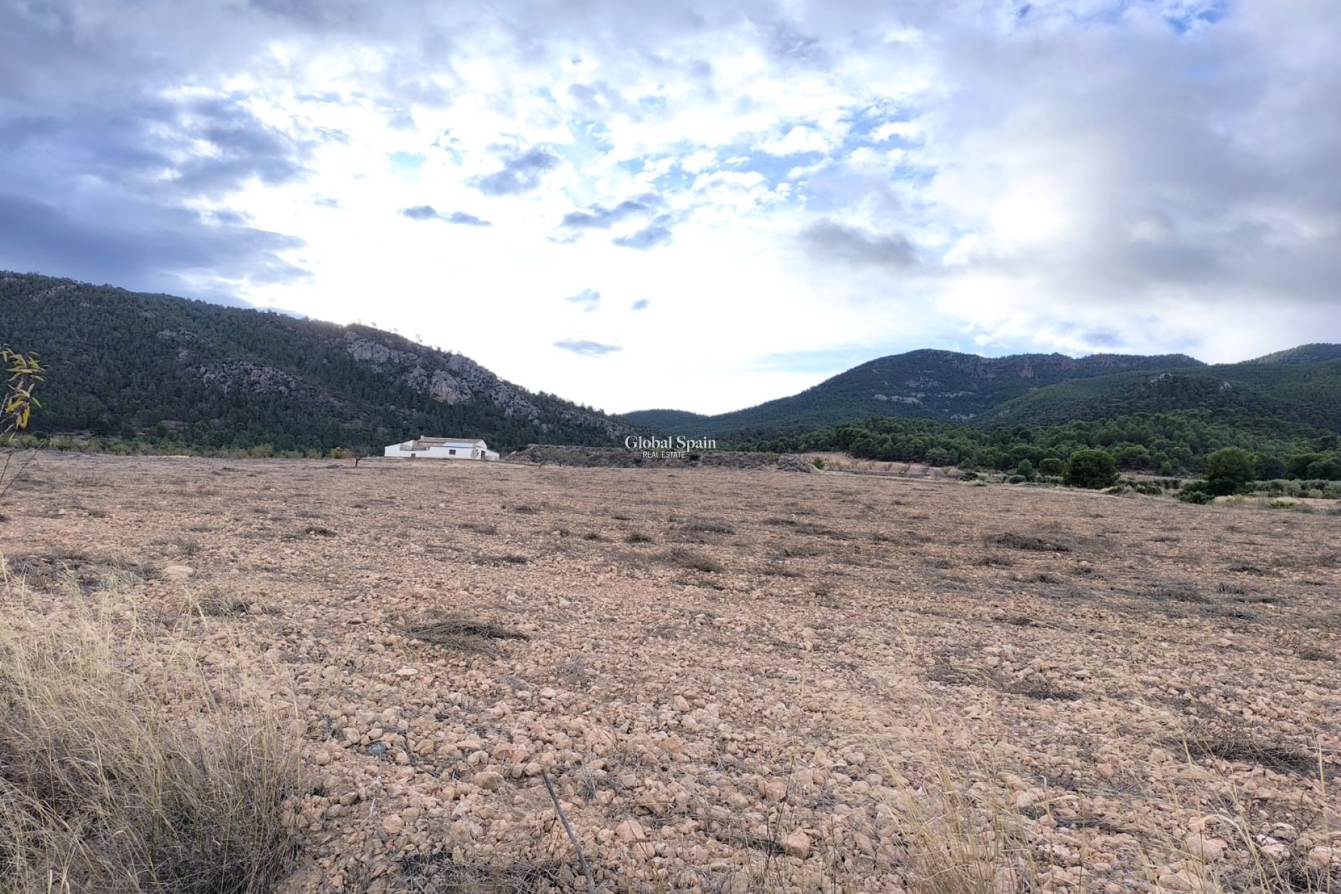 Revente - MAISON -
YECLA - Inland