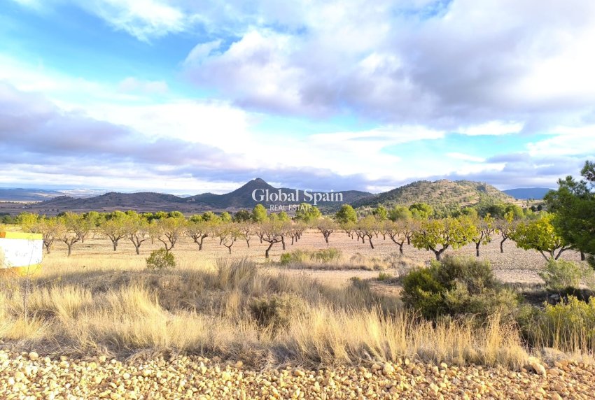 Revente - MAISON -
YECLA - Inland