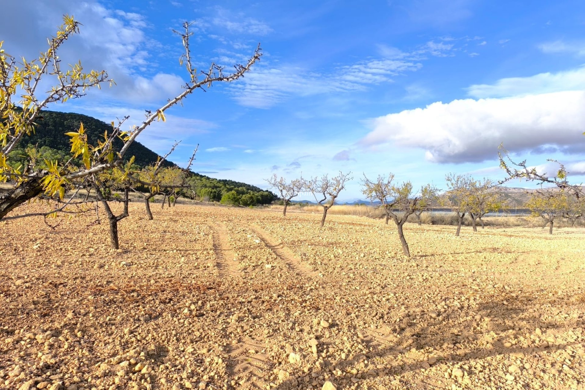 Revente - MAISON -
YECLA - Inland