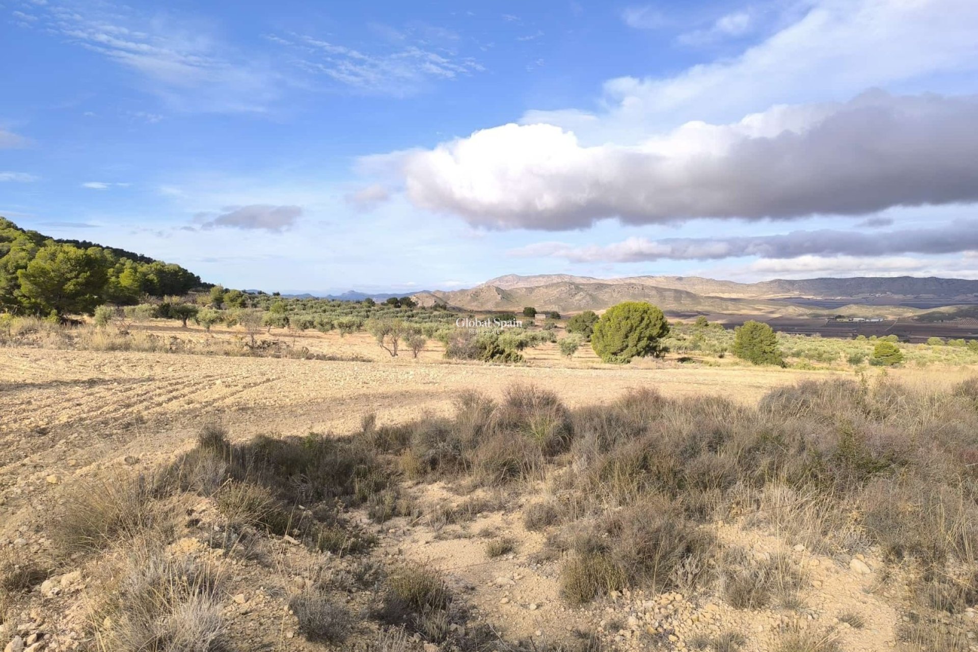 Revente - MAISON -
YECLA - Inland