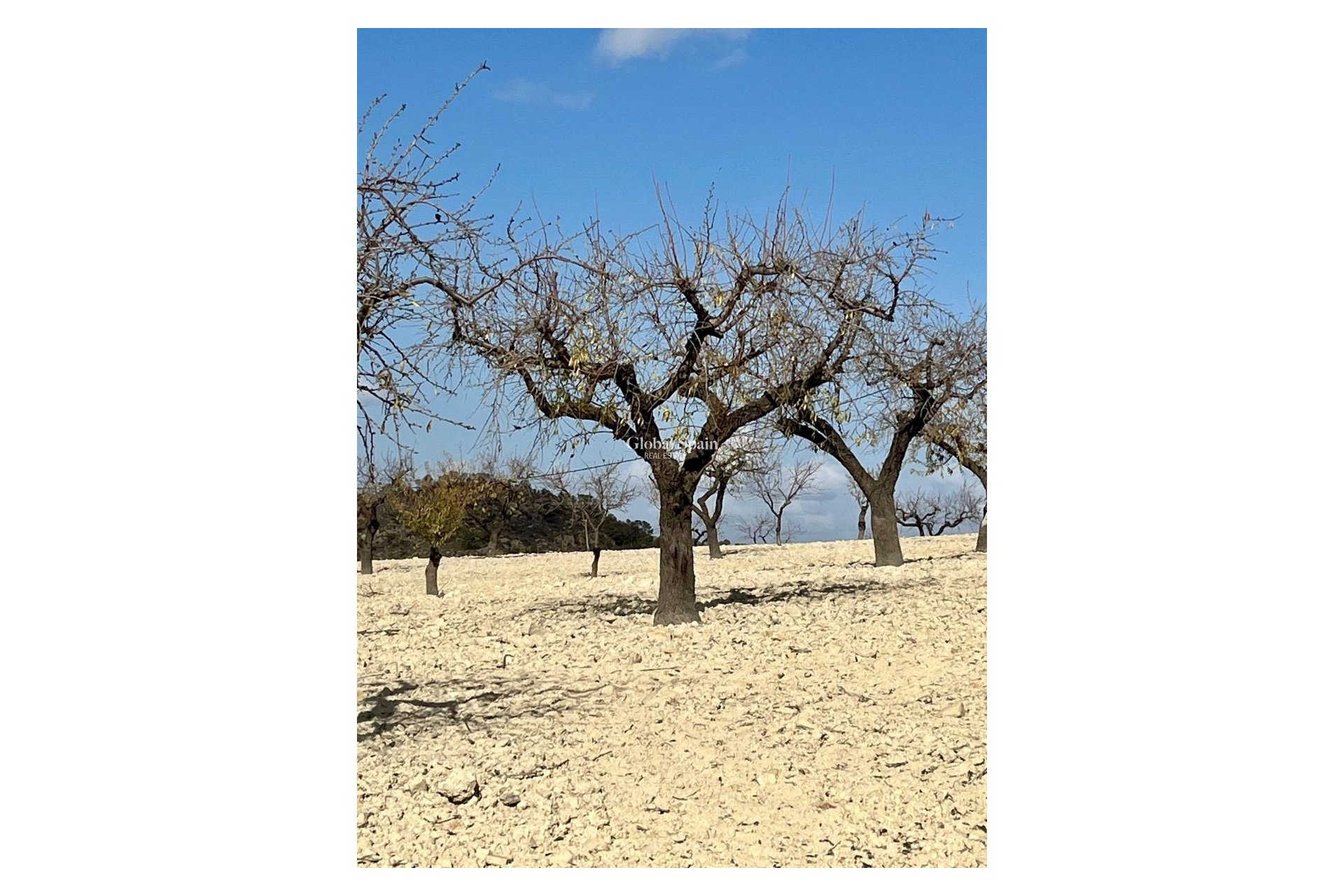 Revente - PARCELLE DE TERRAIN -
BULLAS - Costa Calida