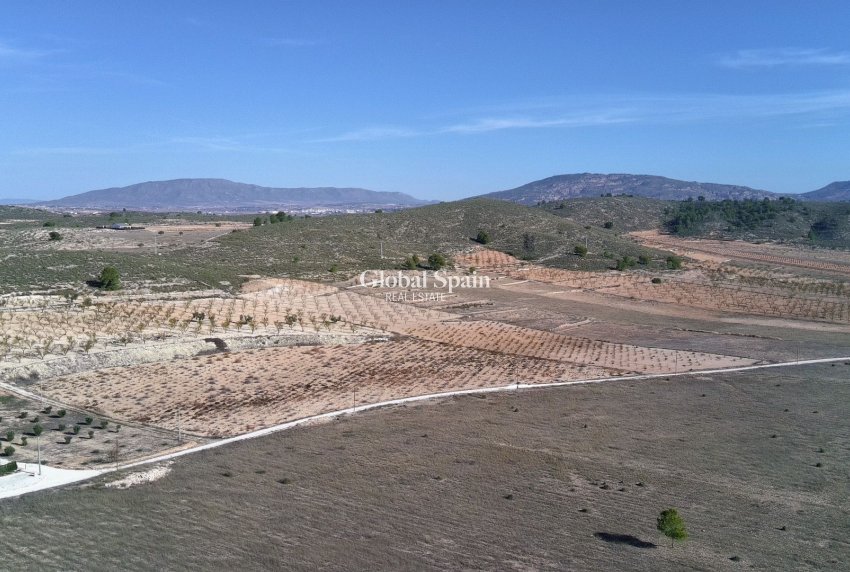 Revente - PARCELLE DE TERRAIN -
CAÑADA DEL TRIGO - Inland