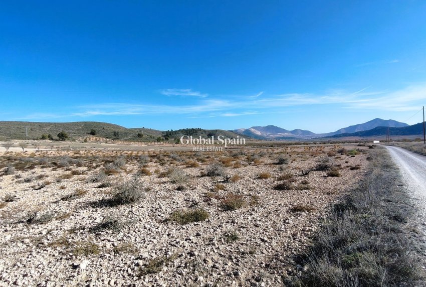 Revente - PARCELLE DE TERRAIN -
CAÑADA DEL TRIGO - Inland