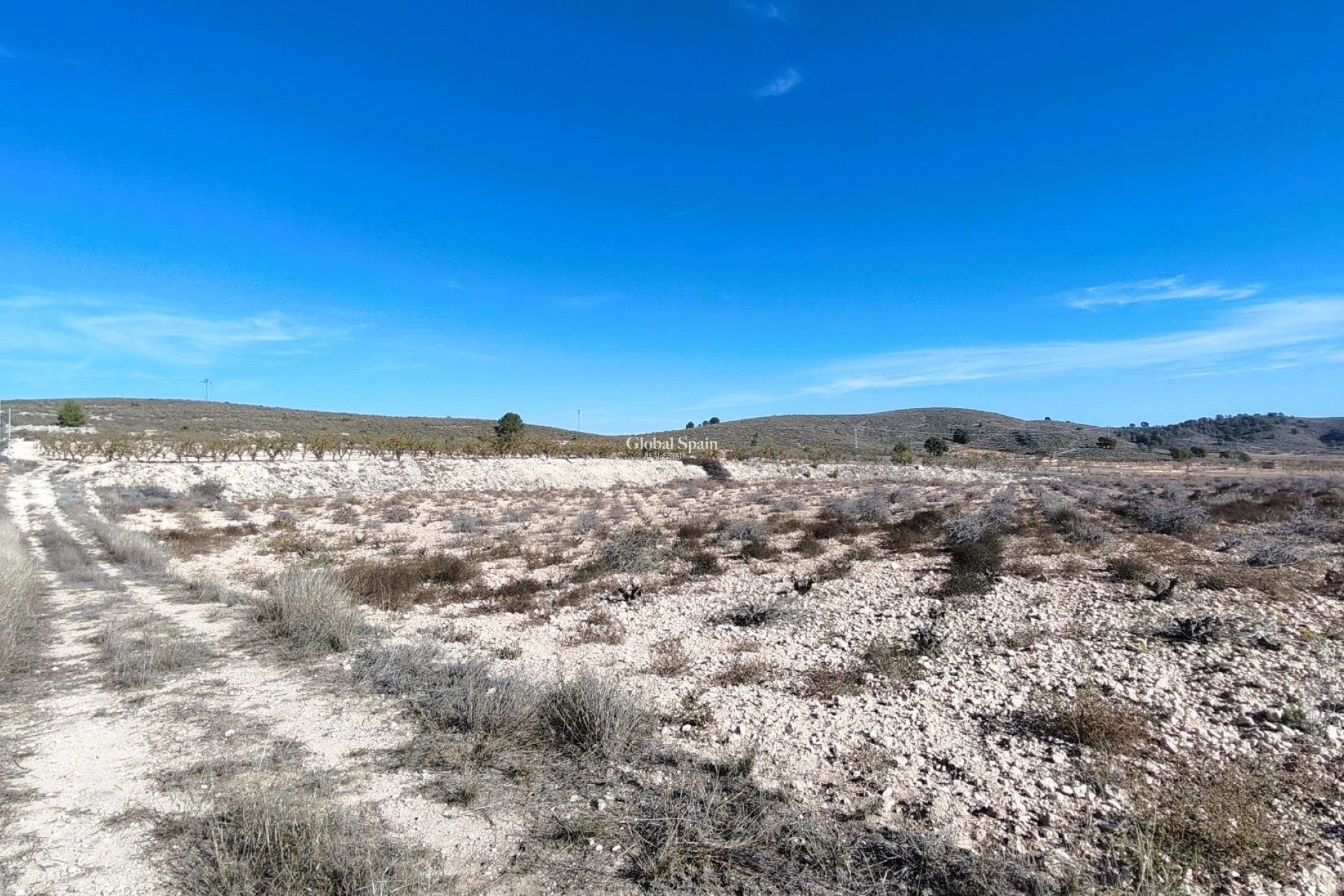 Revente - PARCELLE DE TERRAIN -
CAÑADA DEL TRIGO - Inland