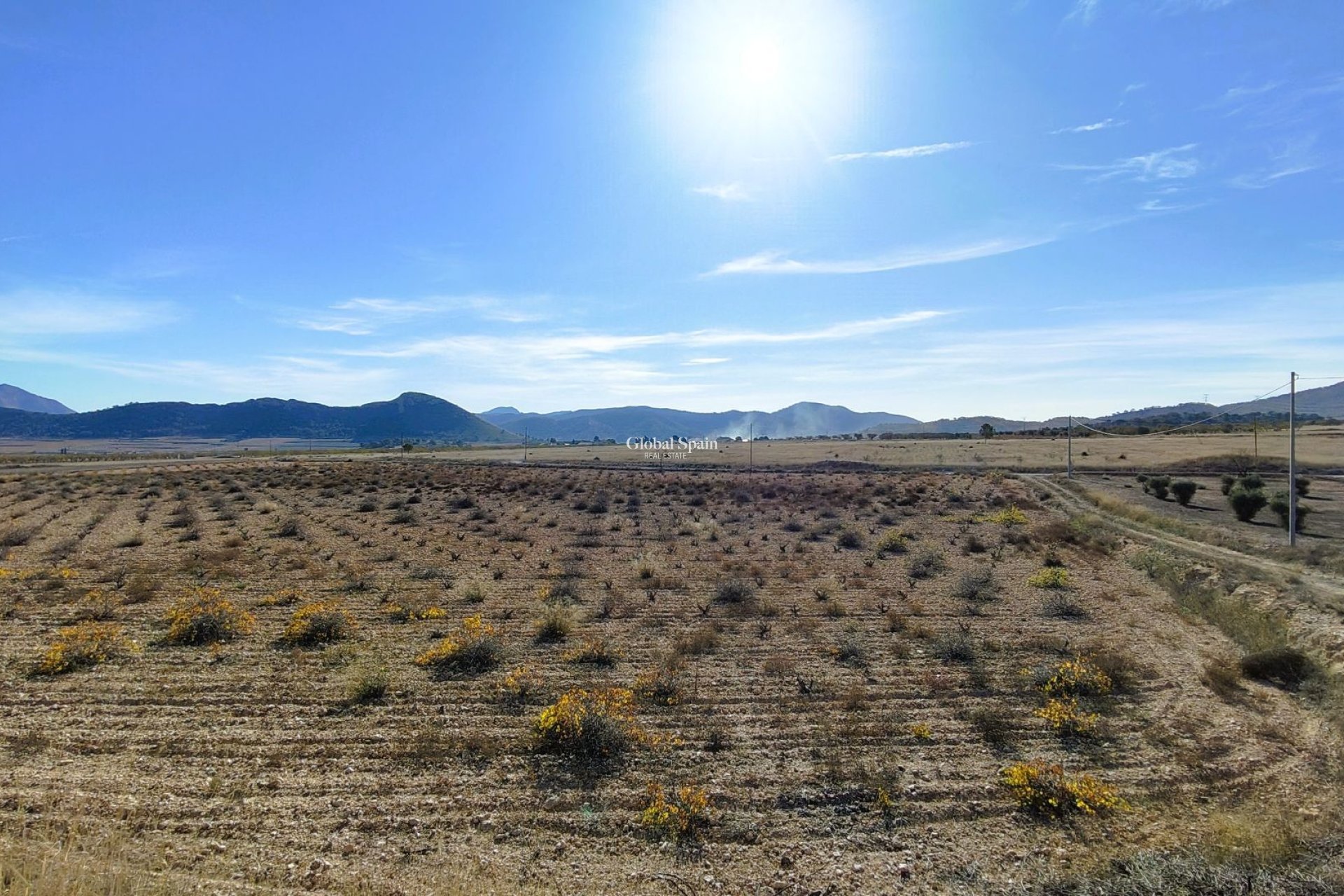 Revente - PARCELLE DE TERRAIN -
CAÑADA DEL TRIGO - Inland
