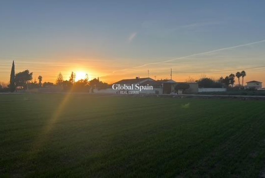 Revente - PARCELLE DE TERRAIN -
DOLORES - Comunidad Valenciana