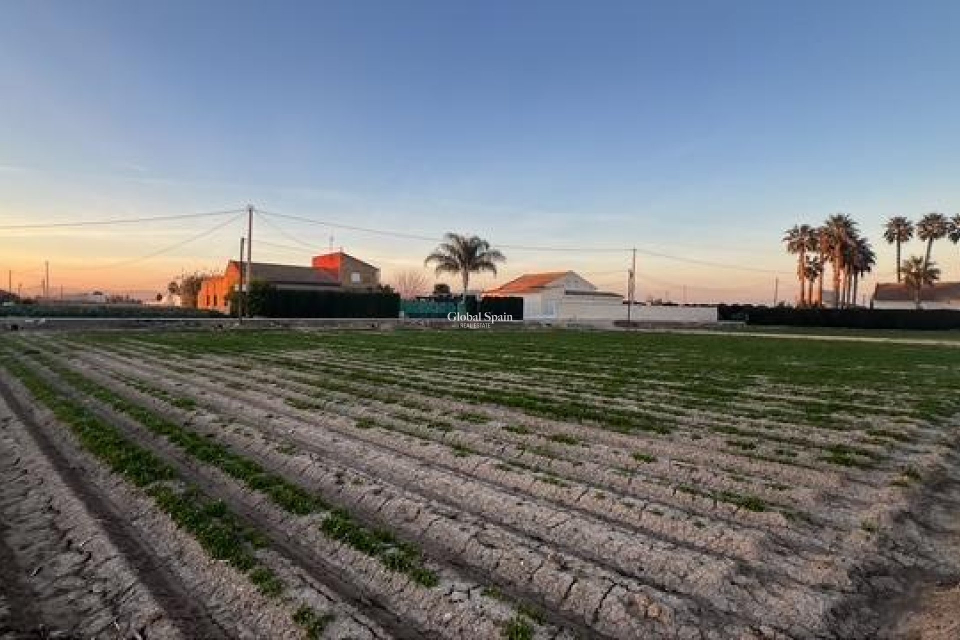 Revente - PARCELLE DE TERRAIN -
DOLORES - Comunidad Valenciana