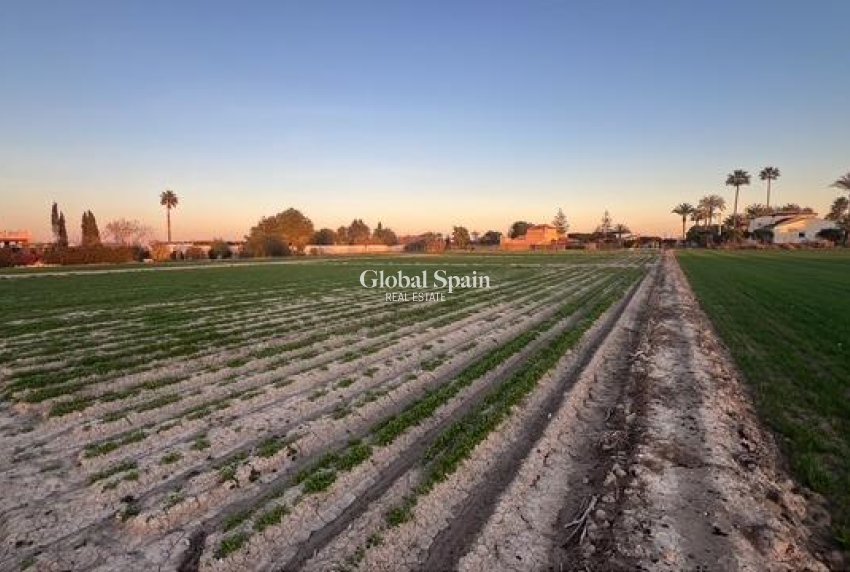 Revente - PARCELLE DE TERRAIN -
DOLORES - Comunidad Valenciana
