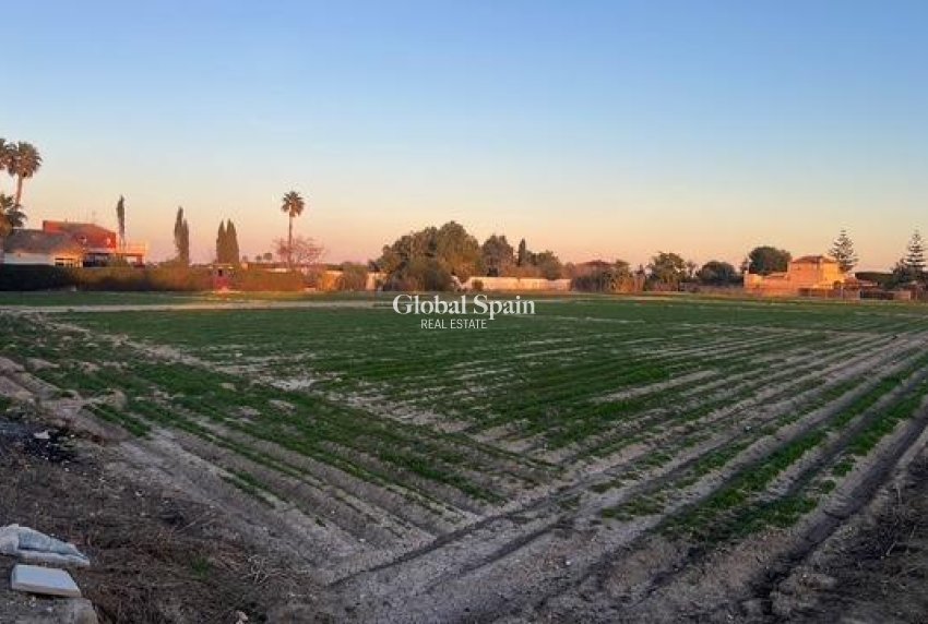 Revente - PARCELLE DE TERRAIN -
DOLORES - Comunidad Valenciana