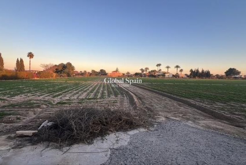 Revente - PARCELLE DE TERRAIN -
DOLORES - Comunidad Valenciana