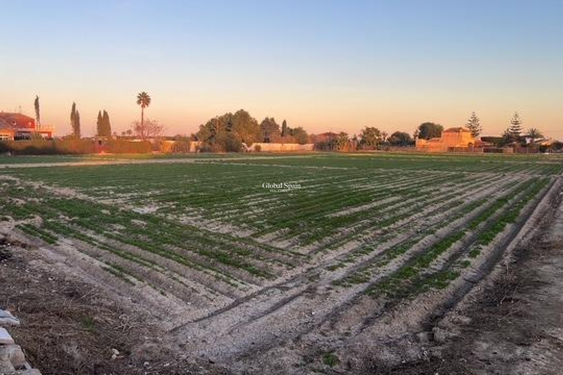 Revente - PARCELLE DE TERRAIN -
DOLORES - Comunidad Valenciana