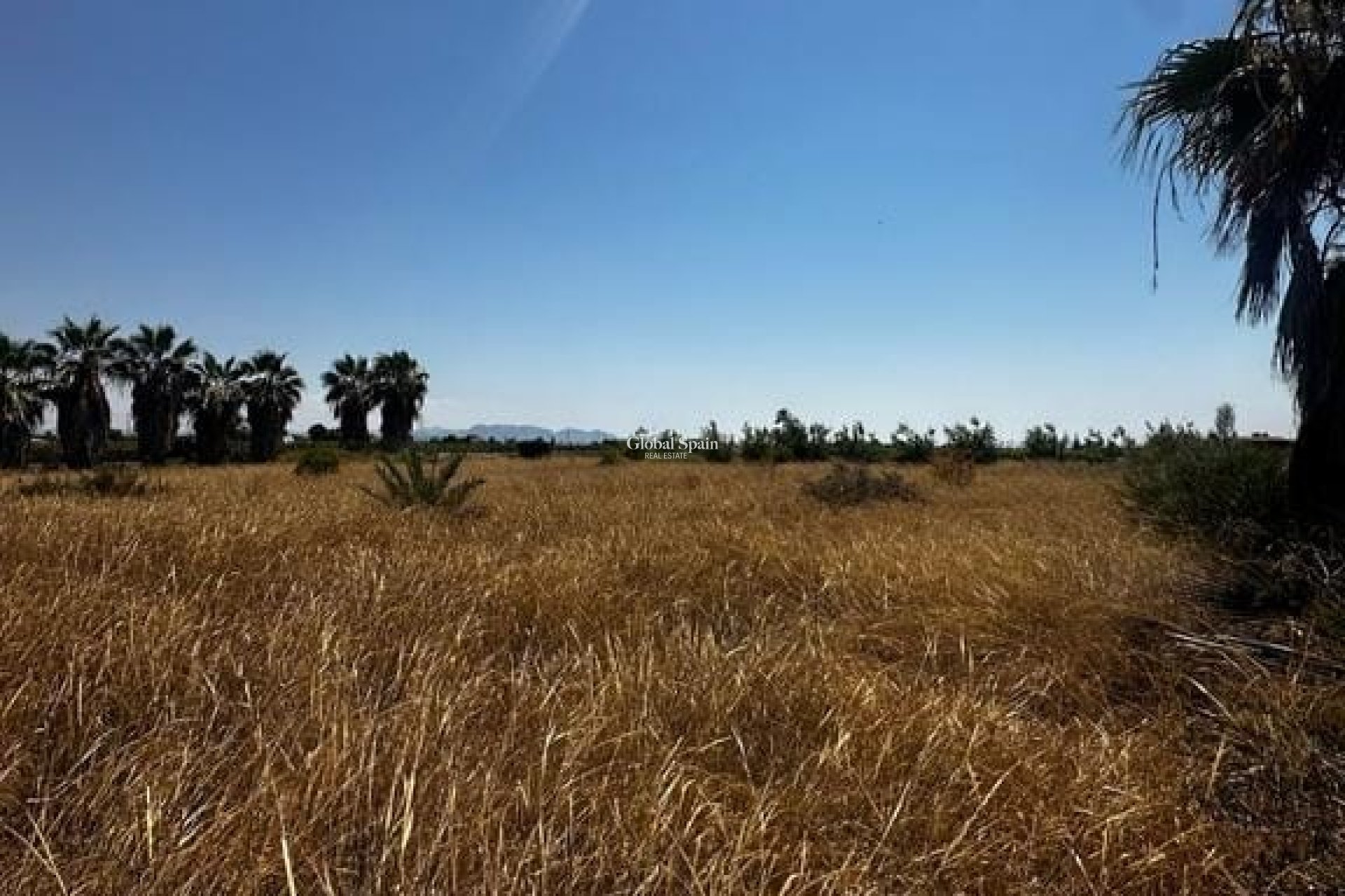 Revente - PARCELLE DE TERRAIN -
ELCHE - Costa Blanca