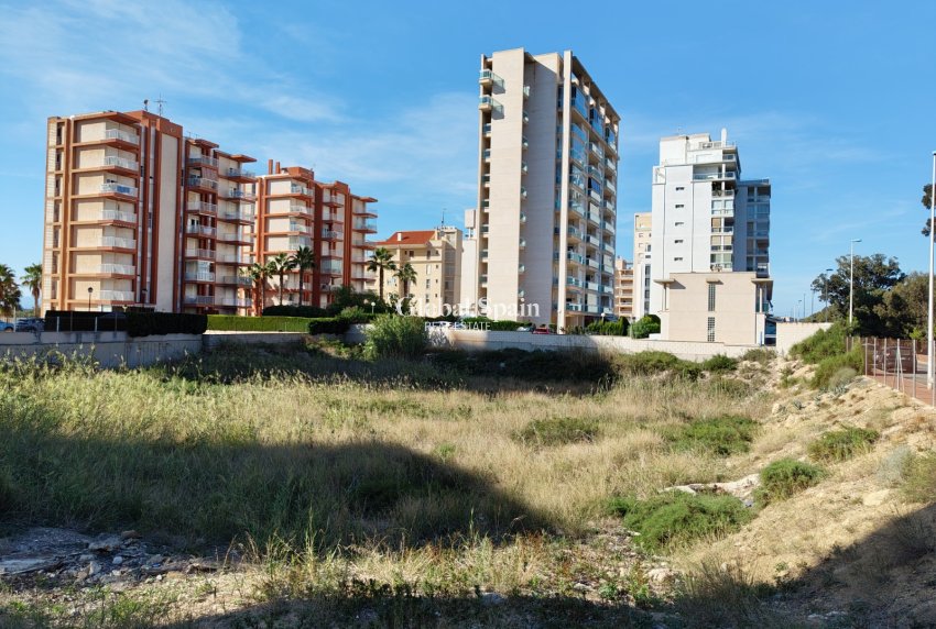 Revente - PARCELLE DE TERRAIN -
GUARDAMAR DEL SEGURA - Guardamar pueblo