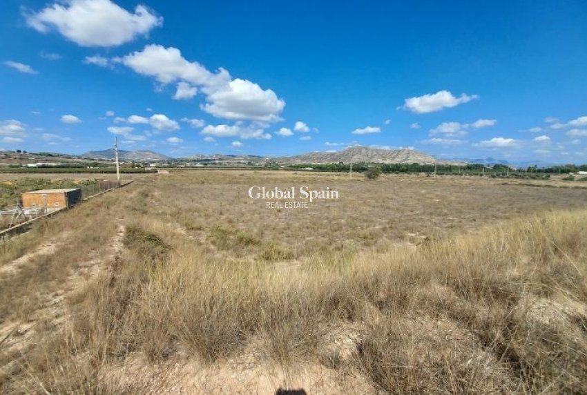 Revente - PARCELLE DE TERRAIN -
HONDÓN DE LAS NIEVES - Inland