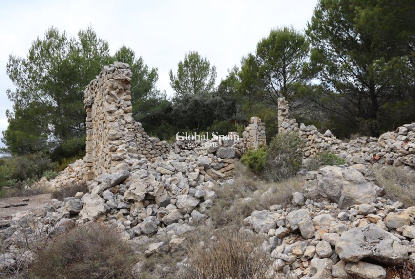 Revente - PARCELLE DE TERRAIN -
JALÓN - Inland