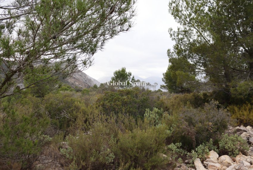 Revente - PARCELLE DE TERRAIN -
JALÓN - Inland