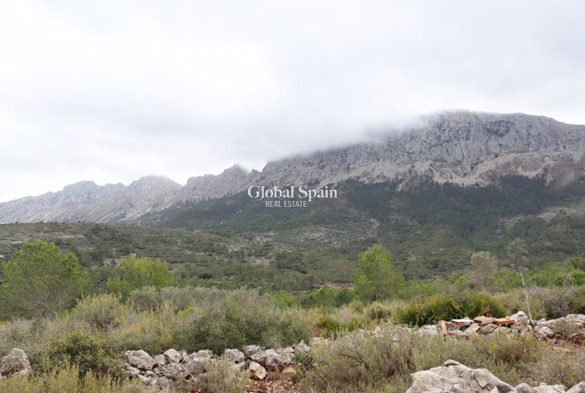 Revente - PARCELLE DE TERRAIN -
JALÓN - Inland