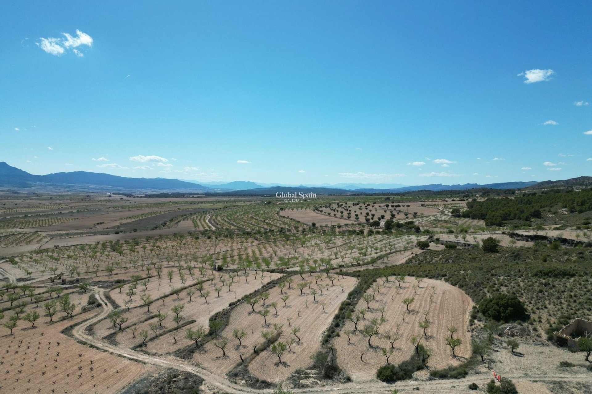Revente - PARCELLE DE TERRAIN -
LA ALBERQUILLA - La Alberquila