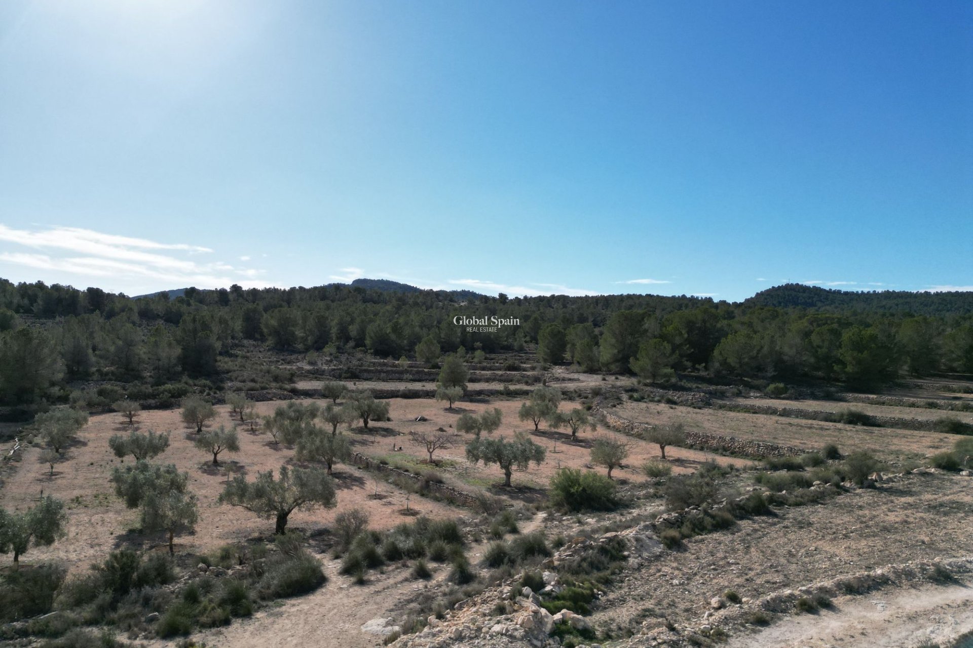 Revente - PARCELLE DE TERRAIN -
MONÓVAR - Monovar