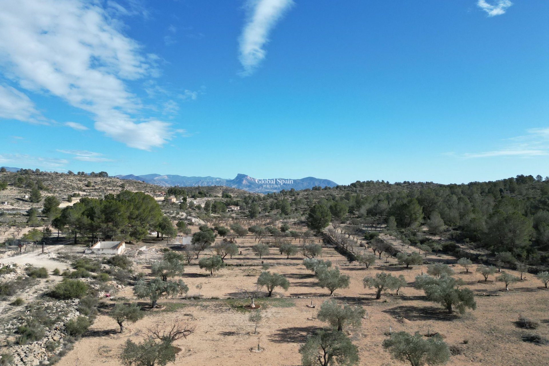 Revente - PARCELLE DE TERRAIN -
MONÓVAR - Monovar