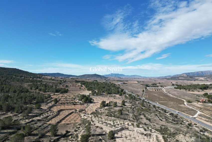 Revente - PARCELLE DE TERRAIN -
MONÓVAR - Monovar