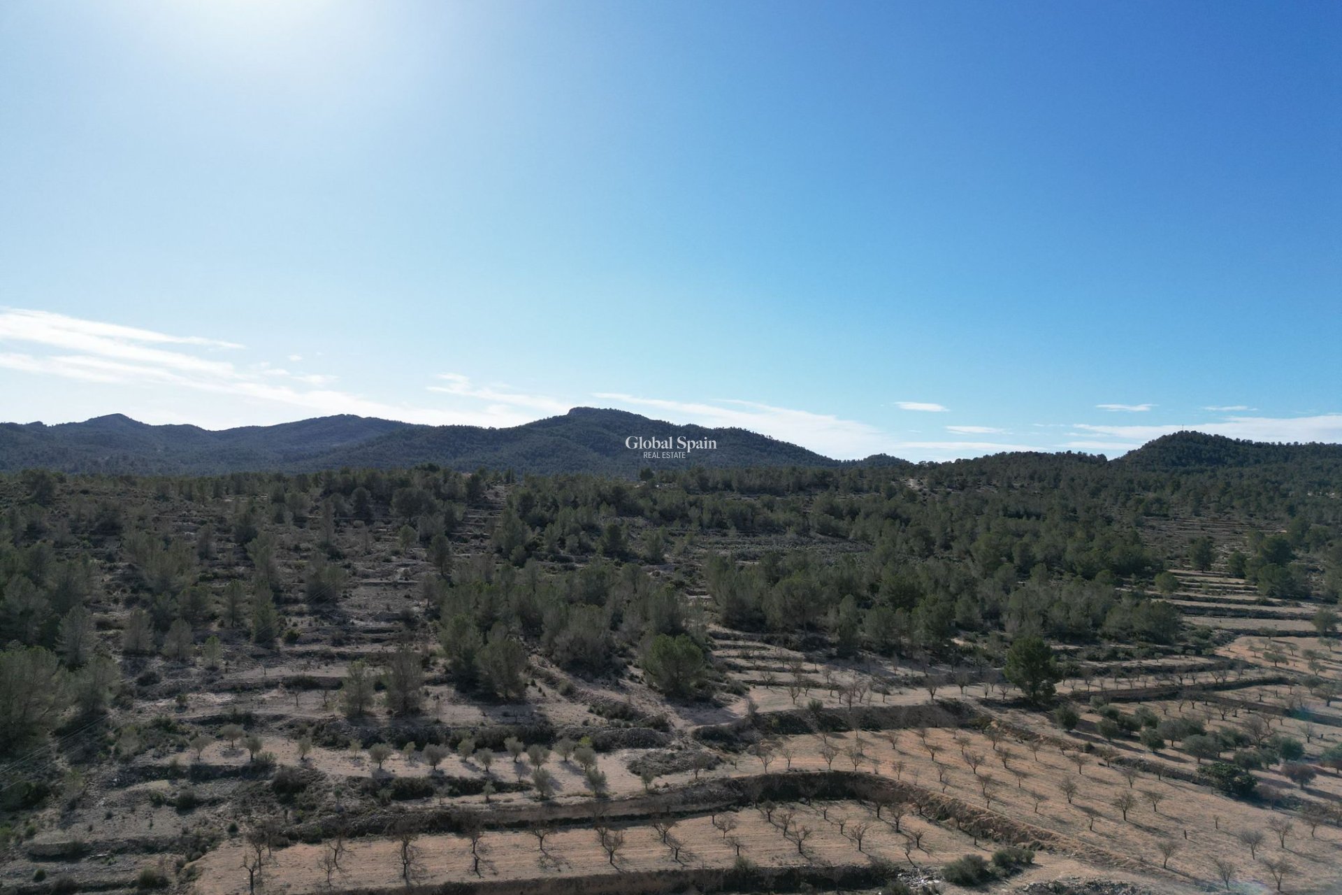 Revente - PARCELLE DE TERRAIN -
MONÓVAR - Monovar