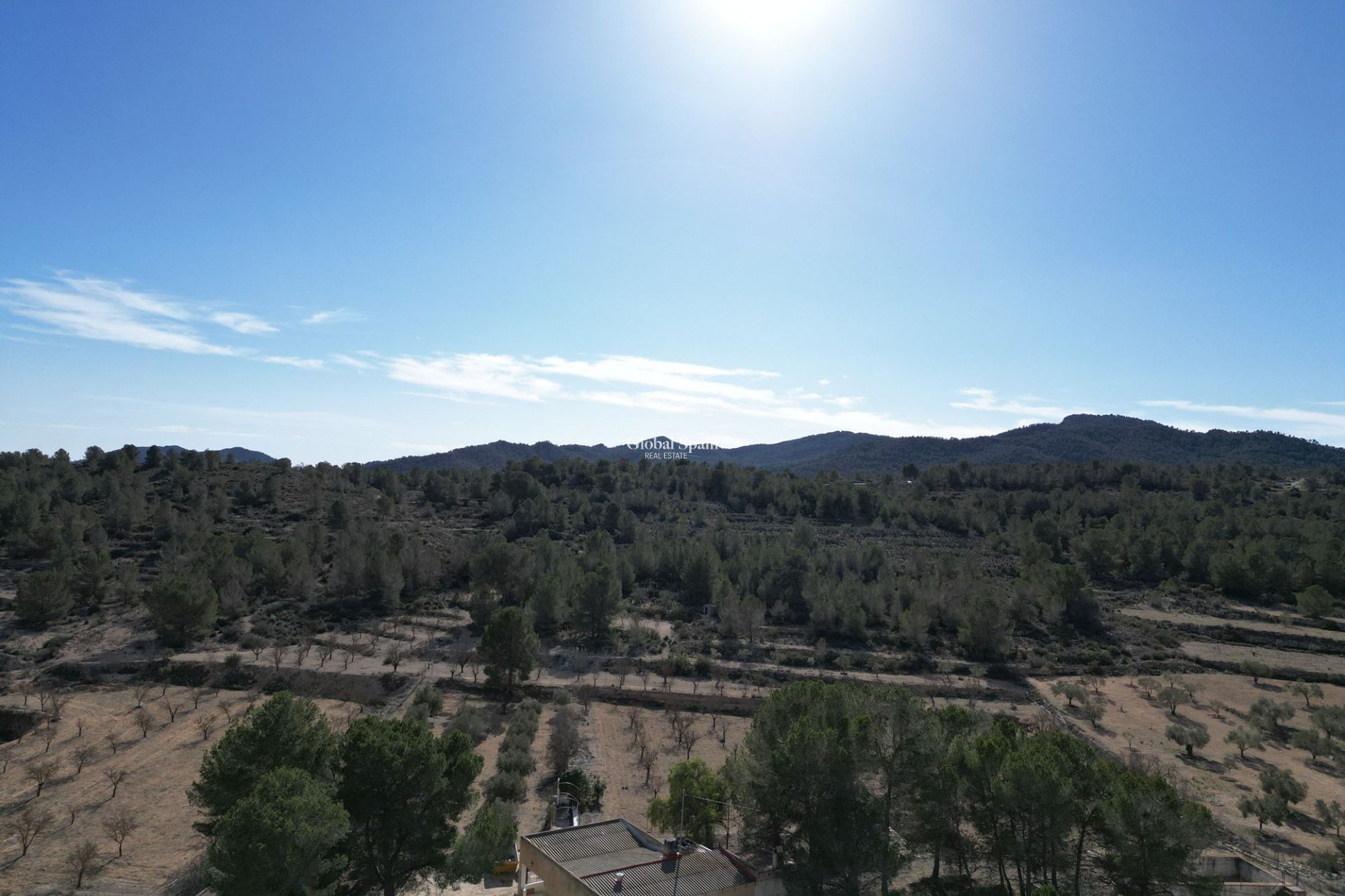 Revente - PARCELLE DE TERRAIN -
MONÓVAR - Monovar