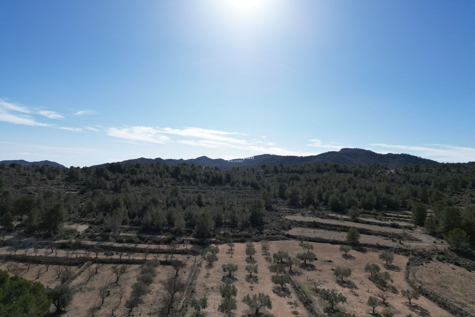 Revente - PARCELLE DE TERRAIN -
MONÓVAR - Monovar