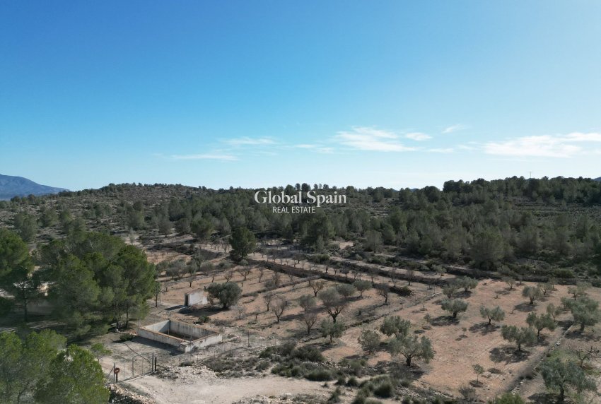 Revente - PARCELLE DE TERRAIN -
MONÓVAR - Monovar