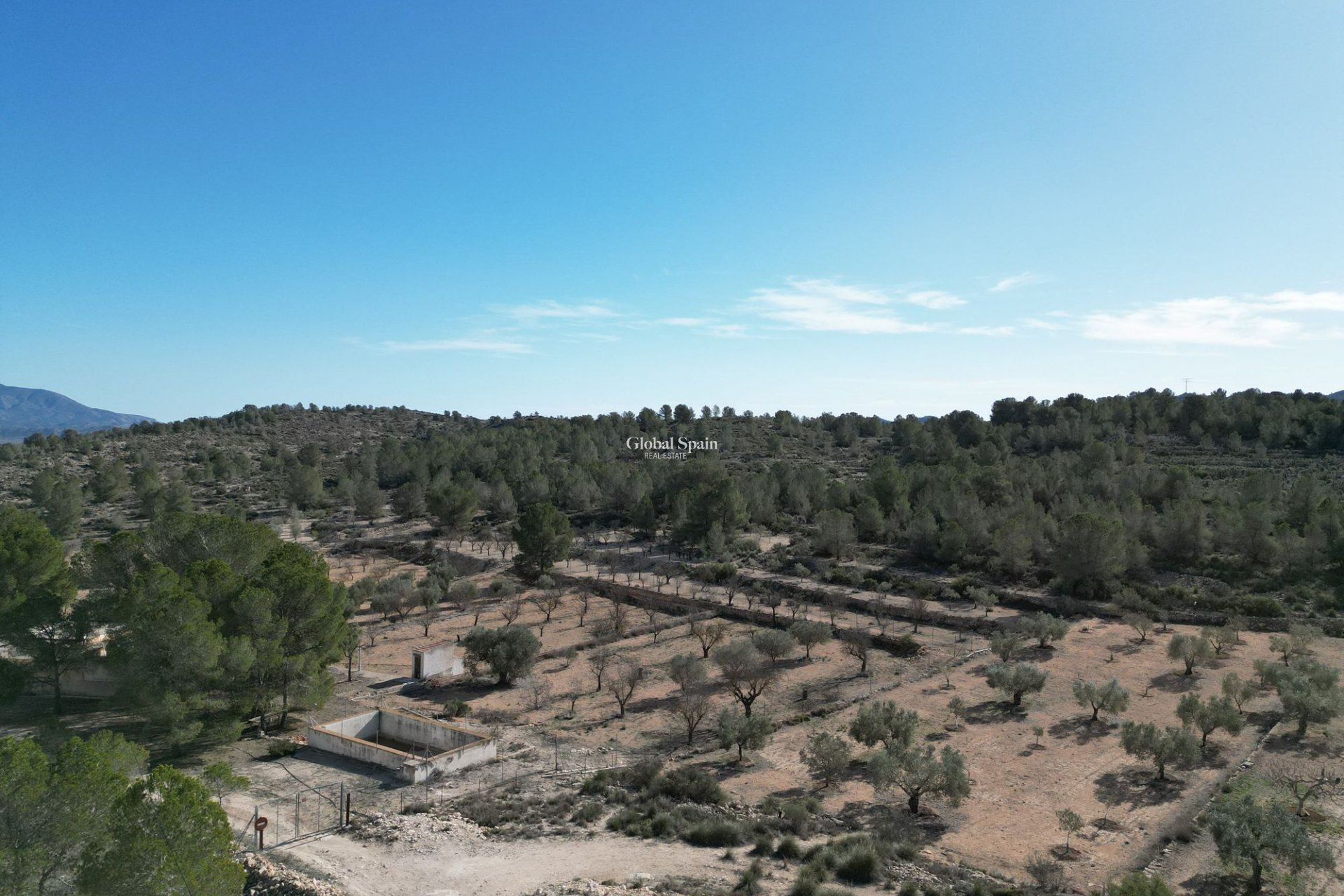 Revente - PARCELLE DE TERRAIN -
MONÓVAR - Monovar