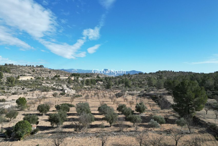 Revente - PARCELLE DE TERRAIN -
MONÓVAR - Monovar