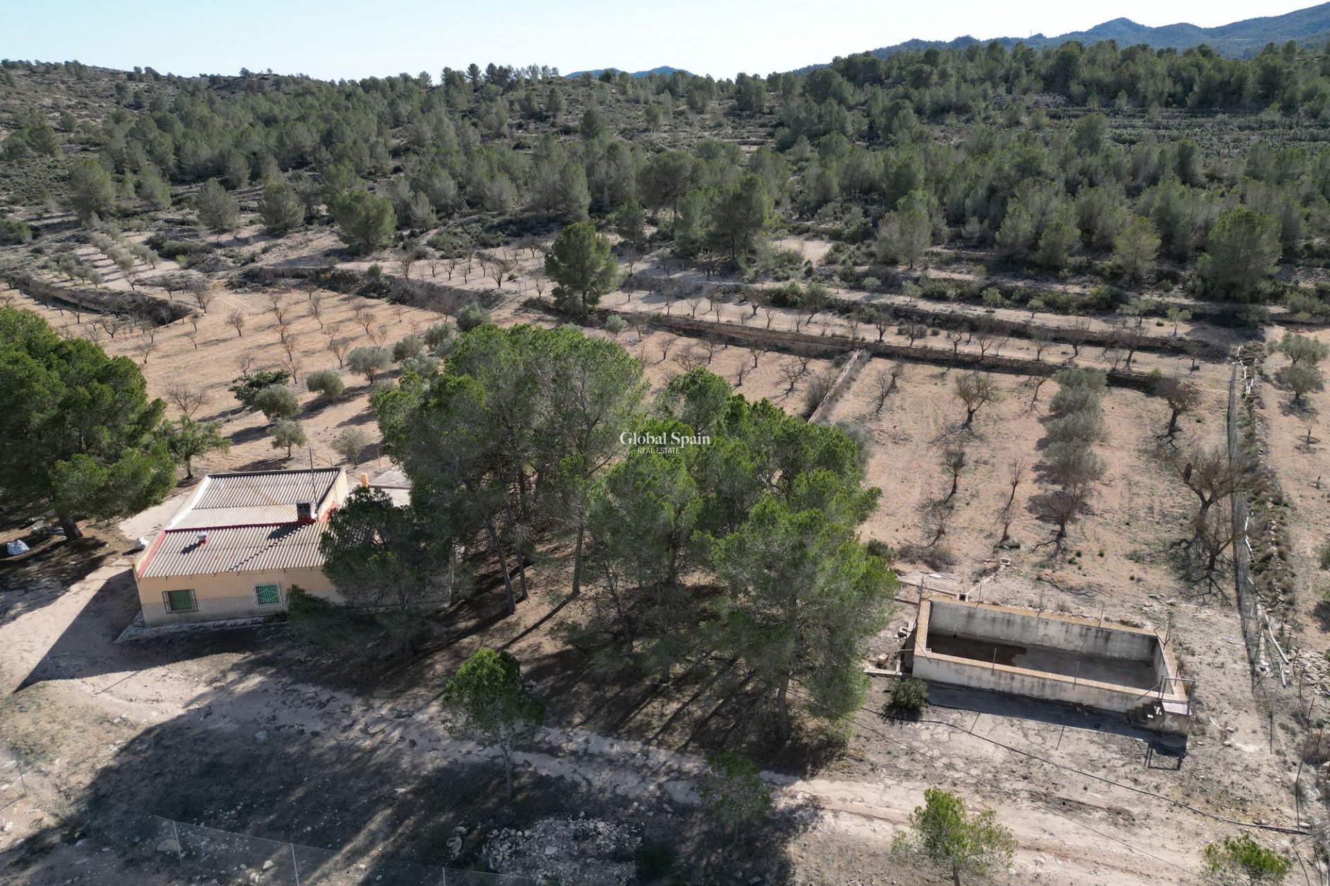 Revente - PARCELLE DE TERRAIN -
MONÓVAR - Monovar
