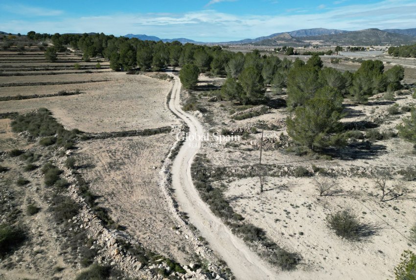 Revente - PARCELLE DE TERRAIN -
MONÓVAR - Monovar