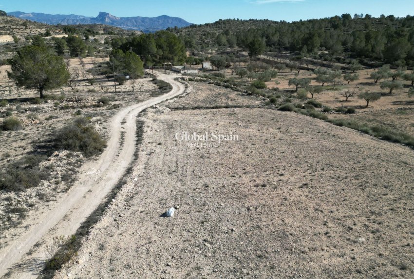Revente - PARCELLE DE TERRAIN -
MONÓVAR - Monovar