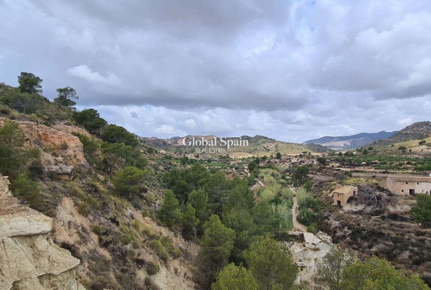 Revente - PARCELLE DE TERRAIN -
MURCIA - Abanilla