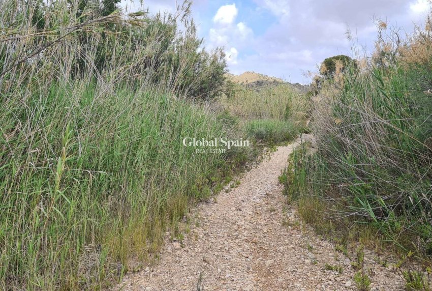 Revente - PARCELLE DE TERRAIN -
MURCIA - Abanilla