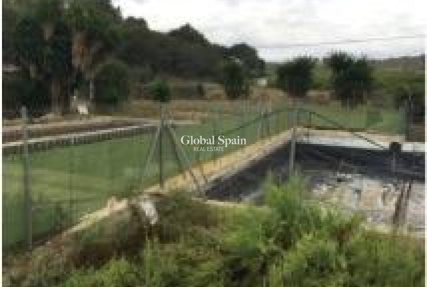 Revente - PARCELLE DE TERRAIN -
ORIHUELA - Desamparados-hurchillo-torremendo