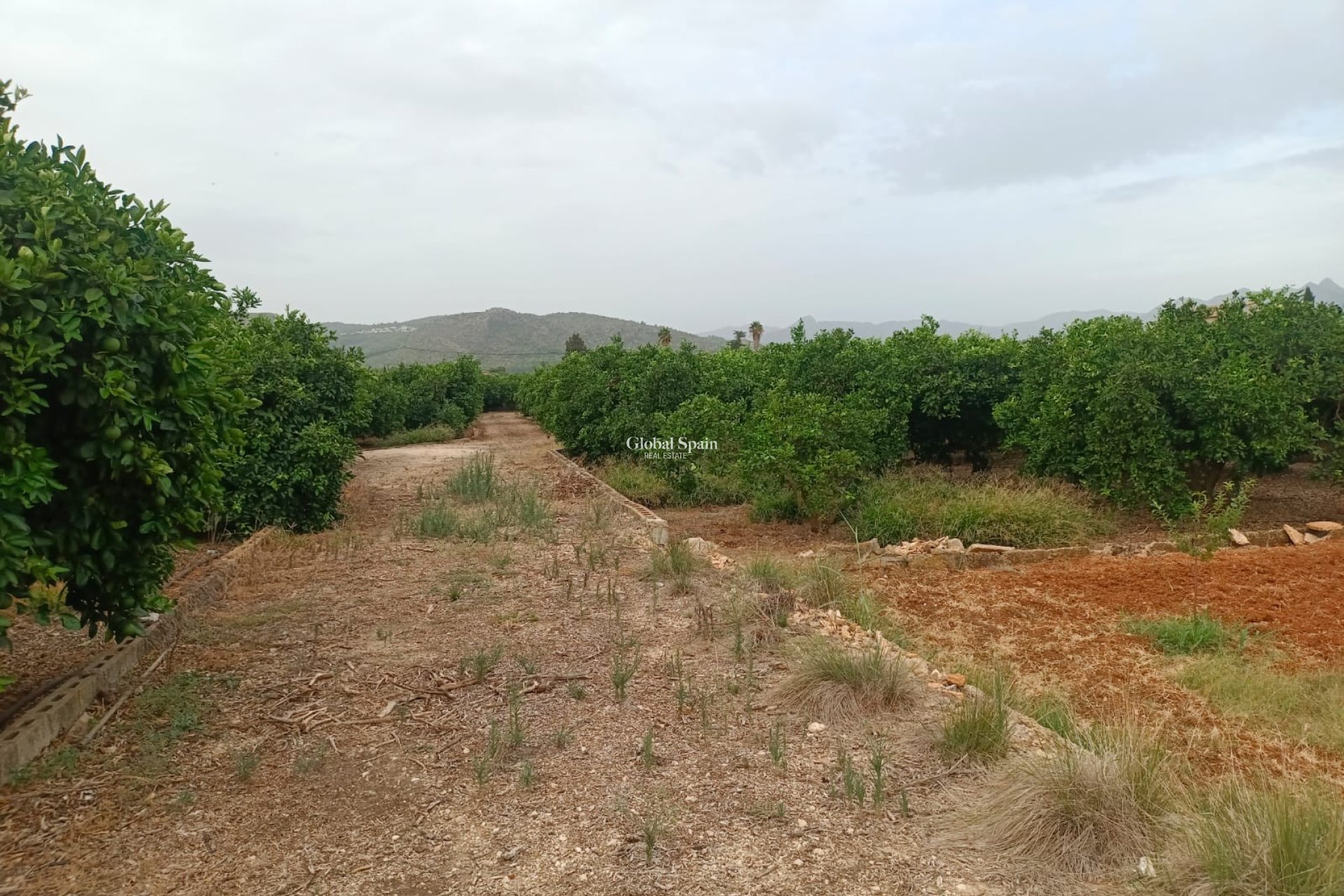 Revente - PARCELLE DE TERRAIN -
PEDREGUER - Pedreguer