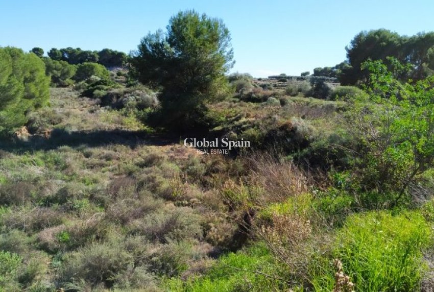 Revente - PARCELLE DE TERRAIN -
PINAR DE CAMPOVERDE - Inland