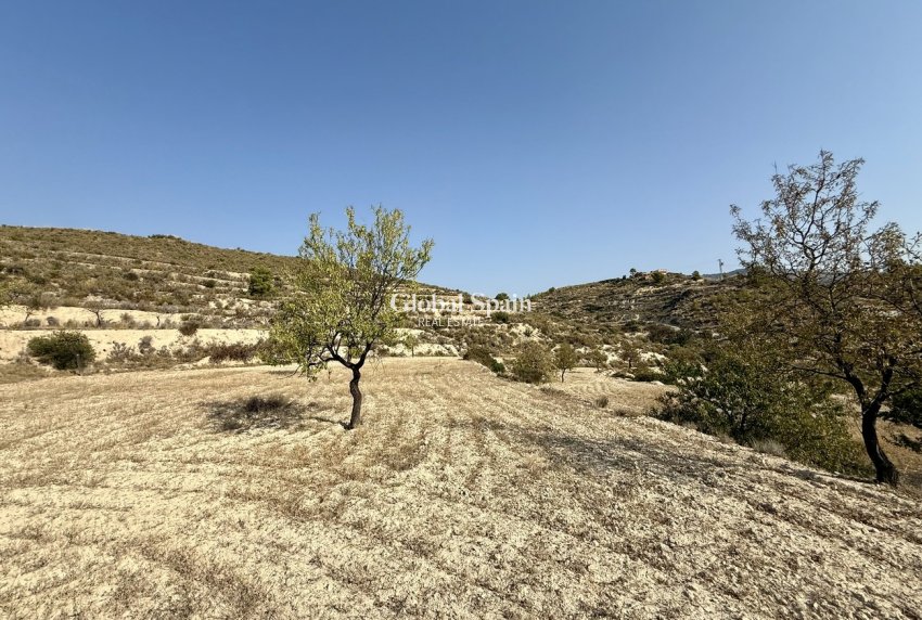 Revente - PARCELLE DE TERRAIN -
RELLEU - Costa Blanca