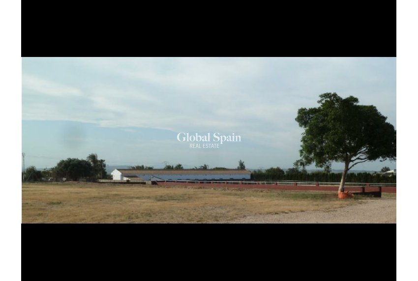 Revente - PARCELLE DE TERRAIN -
SAN MIGUEL DE SALINAS - Inland