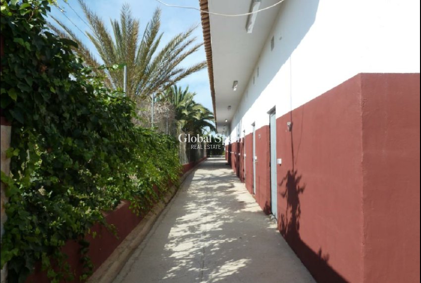 Revente - PARCELLE DE TERRAIN -
SAN MIGUEL DE SALINAS - Inland