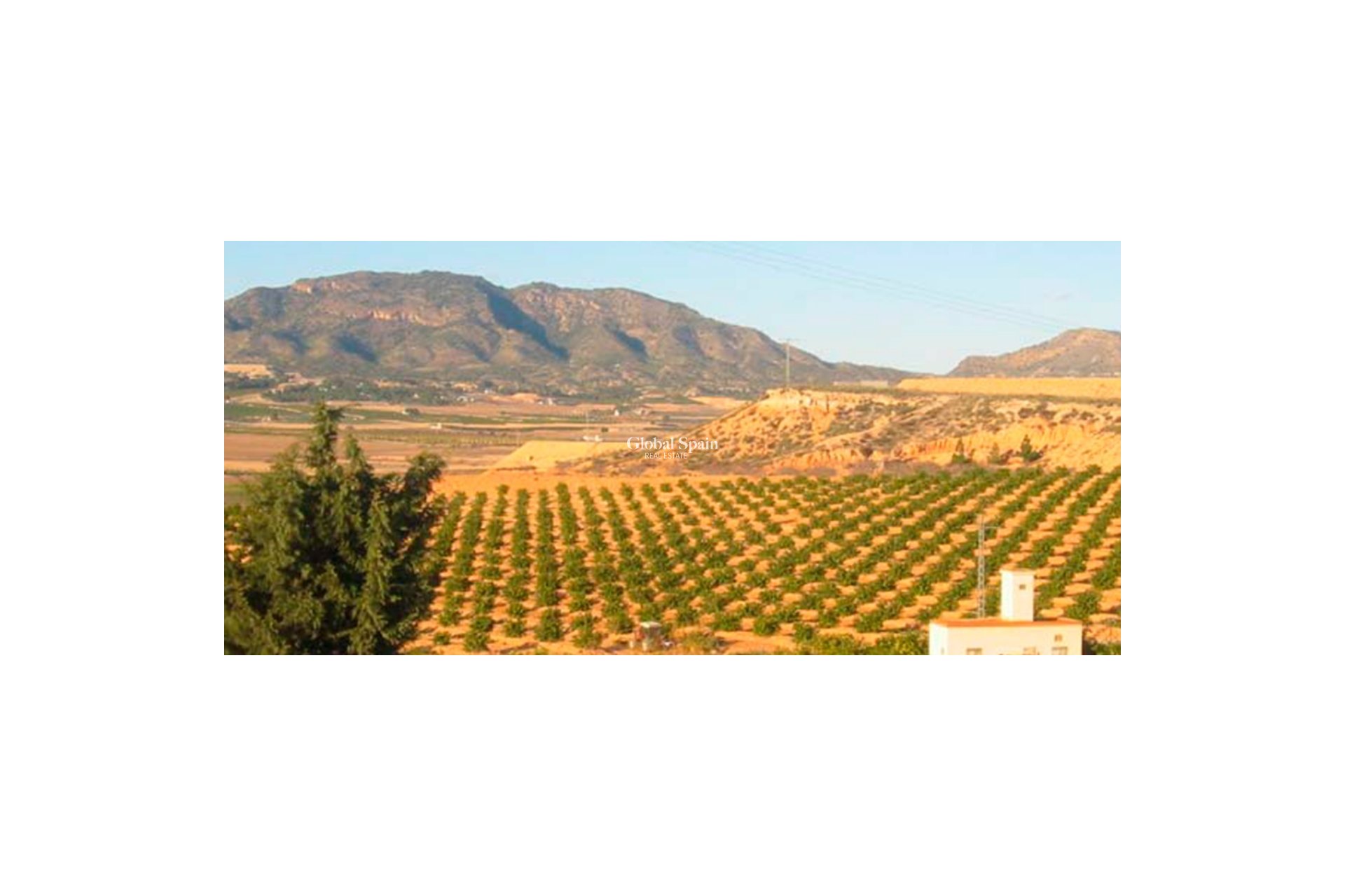 Revente - PARCELLE DE TERRAIN -
TORRE PACHECO - Inland