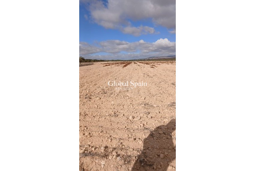 Revente - PARCELLE DE TERRAIN -
YECLA - Inland