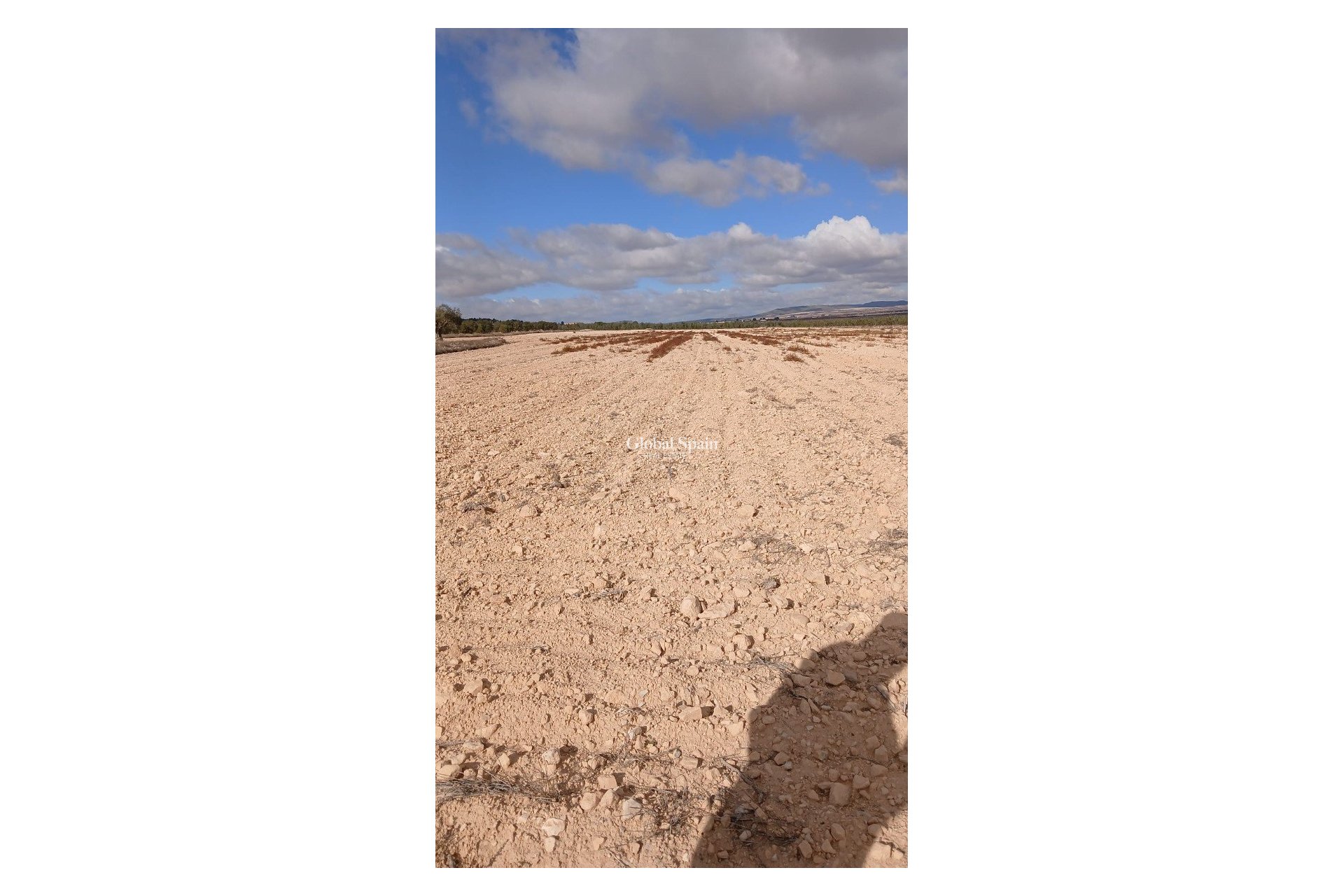 Revente - PARCELLE DE TERRAIN -
YECLA - Inland