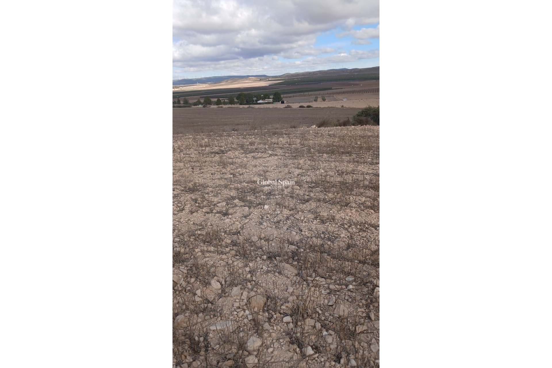 Revente - PARCELLE DE TERRAIN -
YECLA - Inland