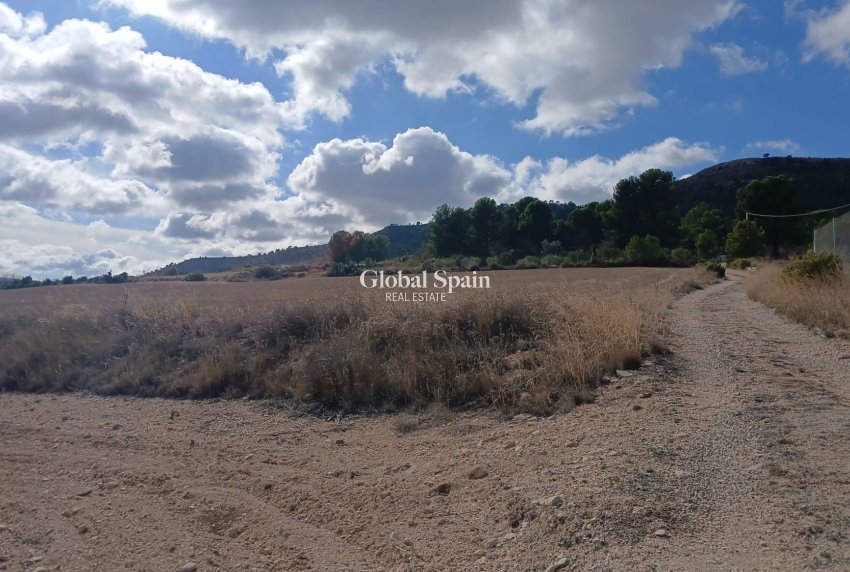 Revente - PARCELLE DE TERRAIN -
YECLA - Inland