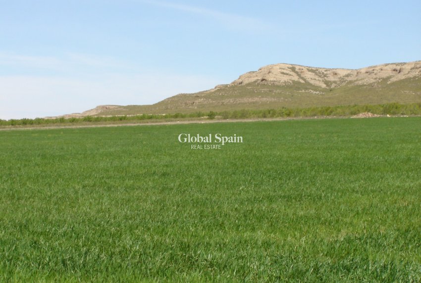 Revente - PARCELLE DE TERRAIN -
YECLA - Inland