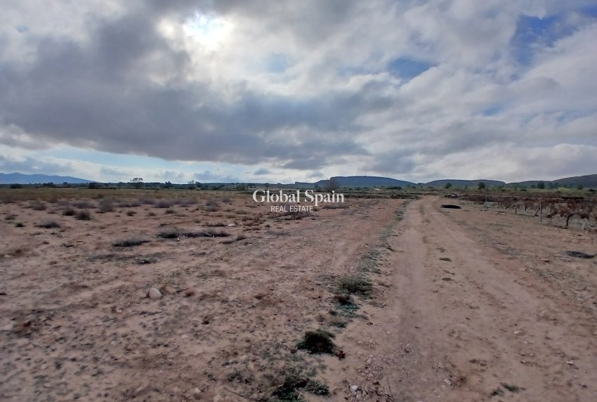 Revente - PARCELLE DE TERRAIN -
YECLA - Inland