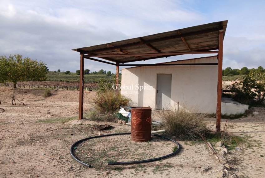 Revente - PARCELLE DE TERRAIN -
YECLA - Inland